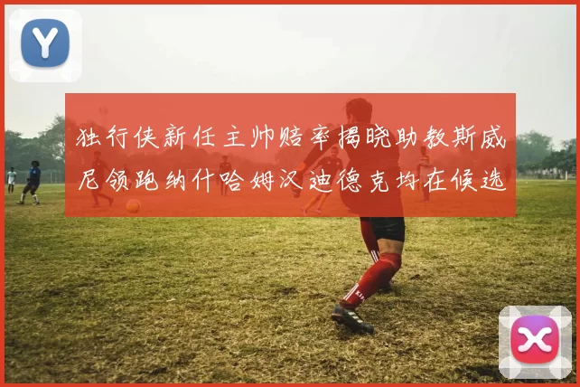 独行侠新任主帅赔率揭晓助教斯威尼领跑纳什哈姆汉迪德克均在候选之中